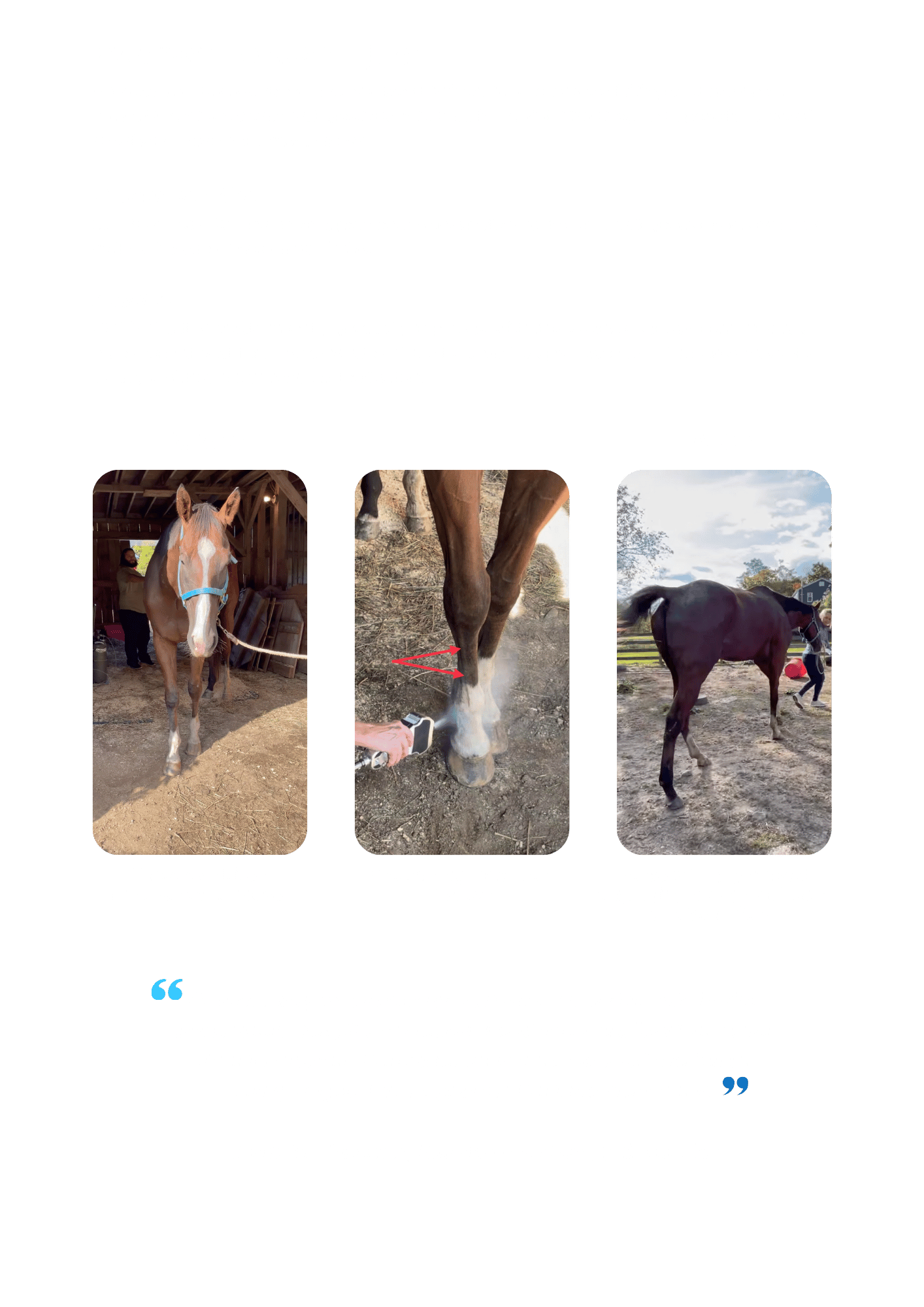 Localized cryotherapy improved the healing of a extensor tendon injury in a horse.