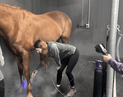 An CAFRE equine student is trained on how use a cryotherapy device.