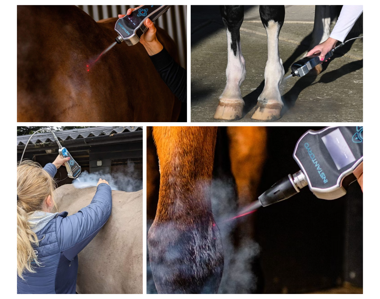A localized cryotherapy device is used to treat the legs, neck and back of a horse.