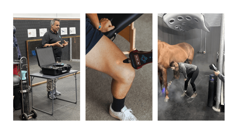 Users are trained on how to use the cryotherapy device on humans and horses.